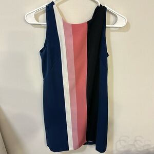 Ann Taylor Petite mod pink and blue dress